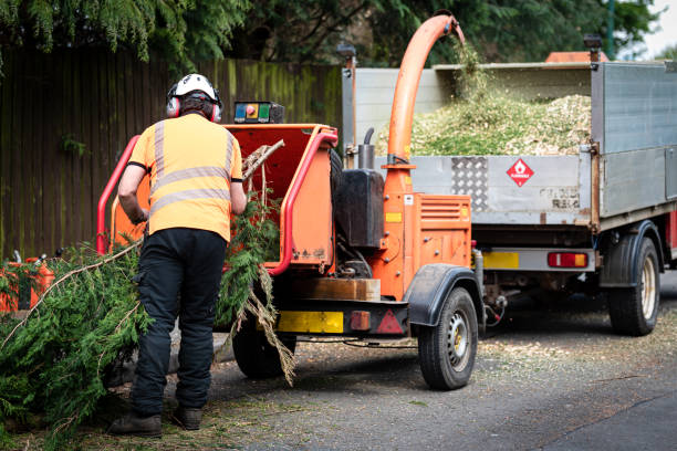 Best Lawn Maintenance Plans  in Portsmouth, VA