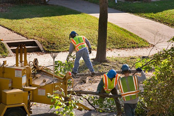 Best Commercial Tree Services  in Portsmouth, VA